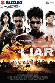 Poster do filme Liar
