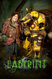Labyrint tv show poster