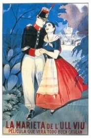 Walking Down the Fountain of the Cat movie poster
