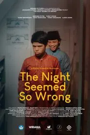 The Night Seemed So Wrong movie poster