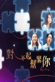 Say Sorry tv show poster