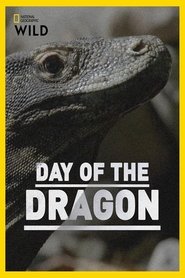Day of the Dragon movie poster