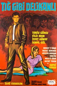Poster do filme Tığ Gibi Delikanlı