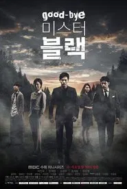 Goodbye Mr. Black tv show poster
