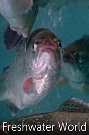 Poster do filme Freshwater World