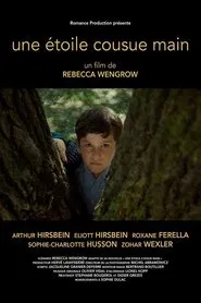 A Hand Sewn Star movie poster