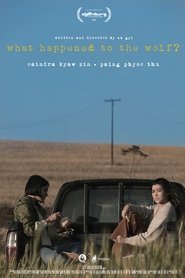 What Happened to the Wolf? movie poster
