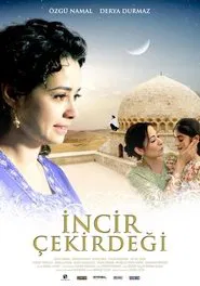 İncir Çekirdeği movie poster