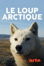 Poster da série Polarwölfe - Überleben in Kanadas Arktis