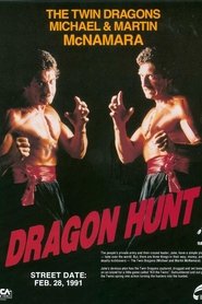 Dragon Hunt movie poster