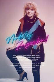 Nedělej Zagorku! movie poster
