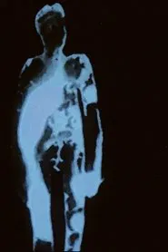 Il Vitello D'Oro movie poster