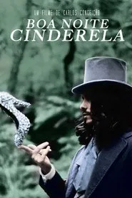 Poster do filme Goodnight Cinderella