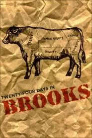 24 Days in Brooks movie poster