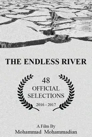 The Endless River movie poster