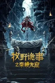 Mystery of Muye: Qinling Dragon Grottoes movie poster