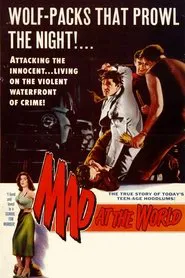 Mad at the World movie poster