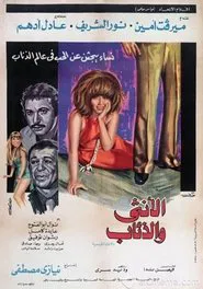 The Lady and the Wolves movie poster