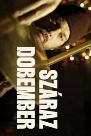 Száraz dobember movie poster