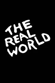 The Real World tv show poster
