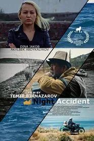 Night Accident movie poster