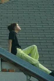 I Have Never Been on an Airplane movie poster