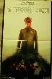 12 Months of Winter movie poster