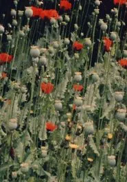 Place of Work movie poster