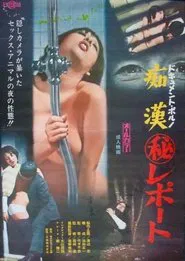 Document porno: Chikan maruhi report movie poster