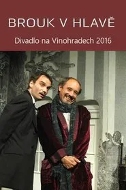Poster do filme Brouk v hlavě