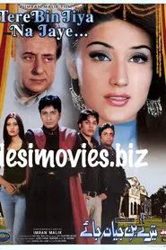 Tere Bin Jiya Na Jaye movie poster