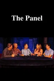 The Panel tv show poster