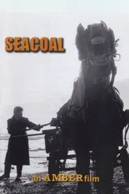 Poster do filme Seacoal