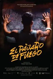 Bird of Fire movie poster