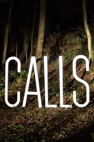 Calls tv show poster