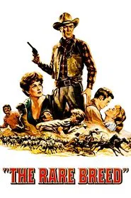 Poster do filme Raça Brava