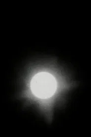 The Transit of Venus movie poster