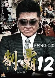 Conquest 12 movie poster