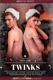 Poster do filme Toys For Twinks