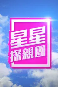 A Starry Home Coming tv show poster