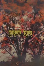 Prem Rog movie poster