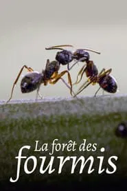Poster do filme La Forêt des fourmis