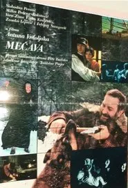 Snowstorm movie poster