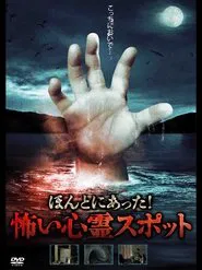 Poster do filme It Really Happened! Scary Psychic Spot