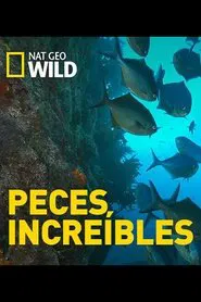 Incredible Fish movie poster