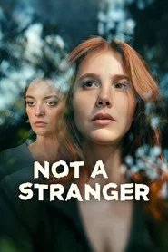 Not a Stranger tv show poster