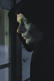 Poster do filme The Visitor