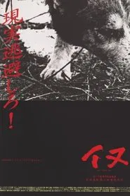Poster do filme Dog