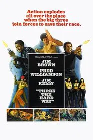 Three the Hard Way movie poster