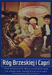 Róg Brzeskiej i Capri movie poster